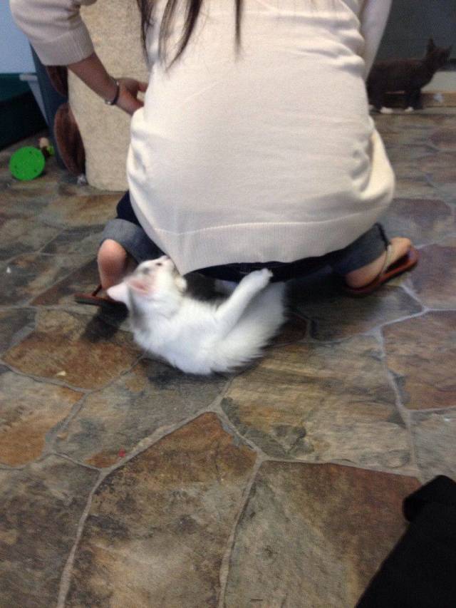 Daily Picdump