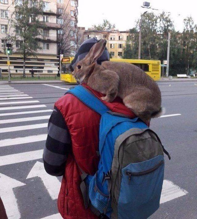 Daily Picdump