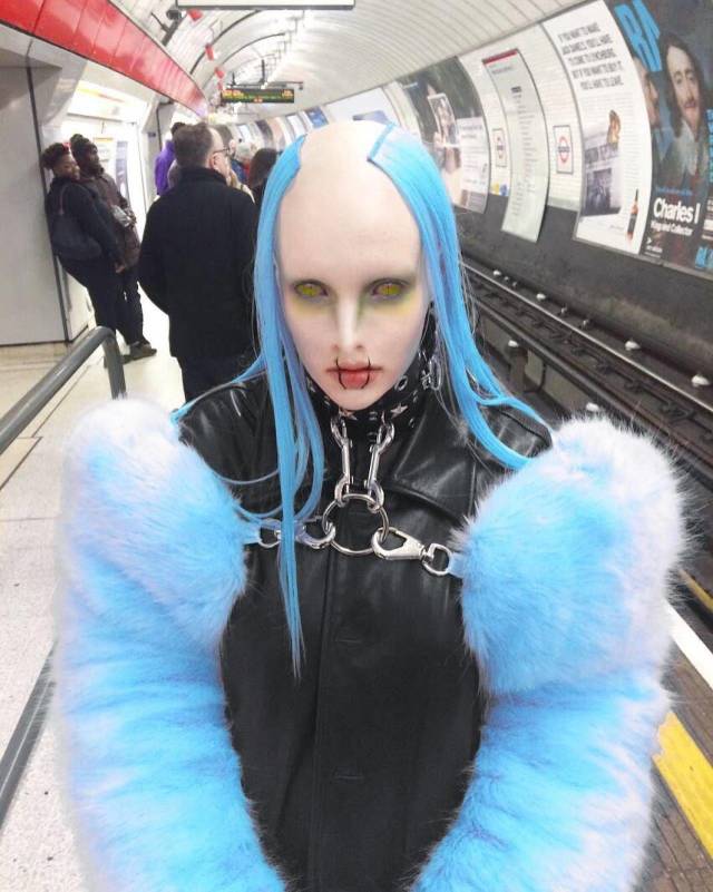 Content Image