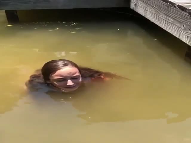 Content Image