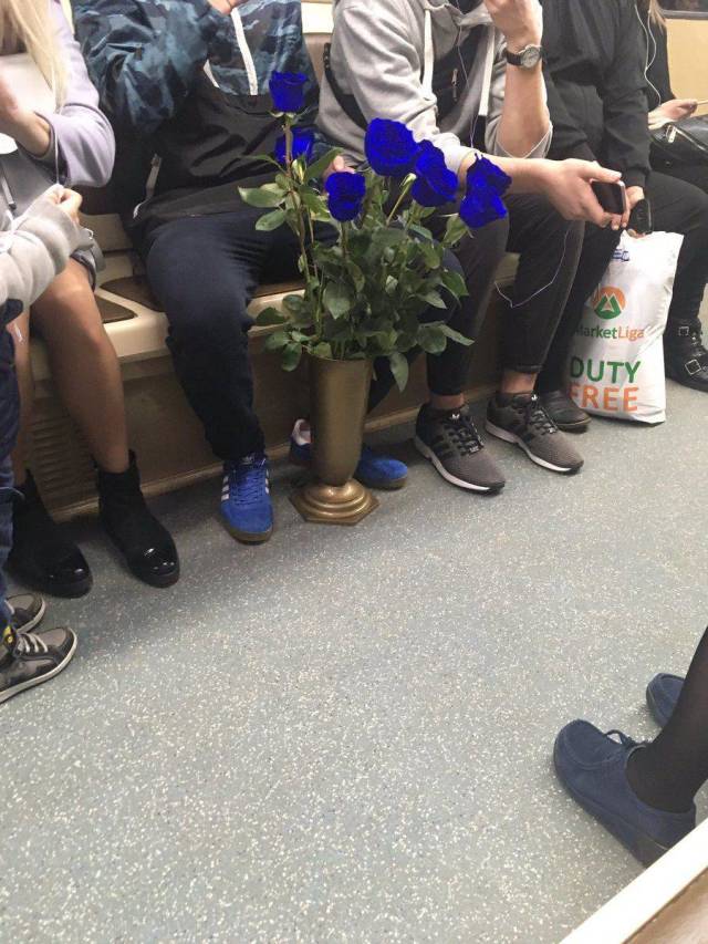 Content Image