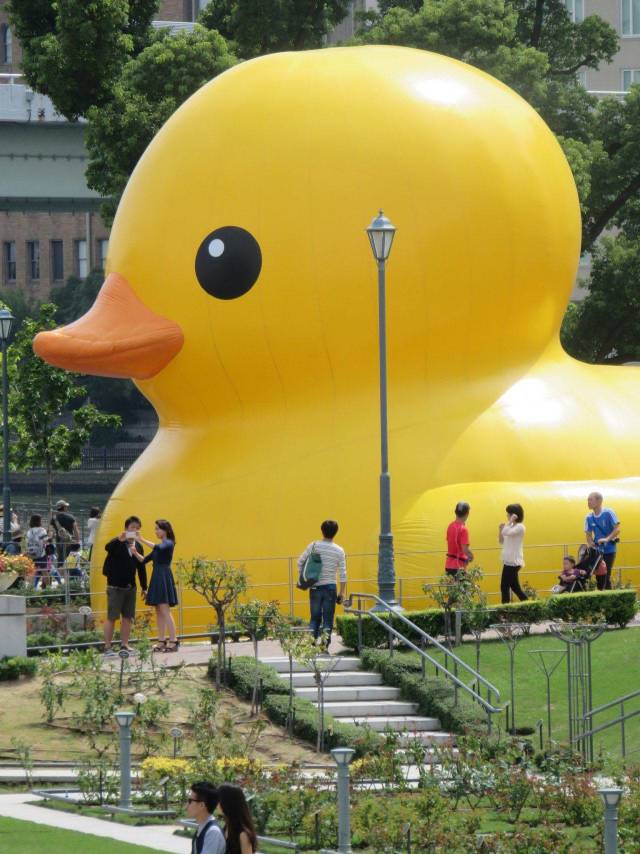 Content Image