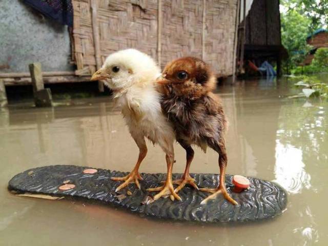 Morning Picdump