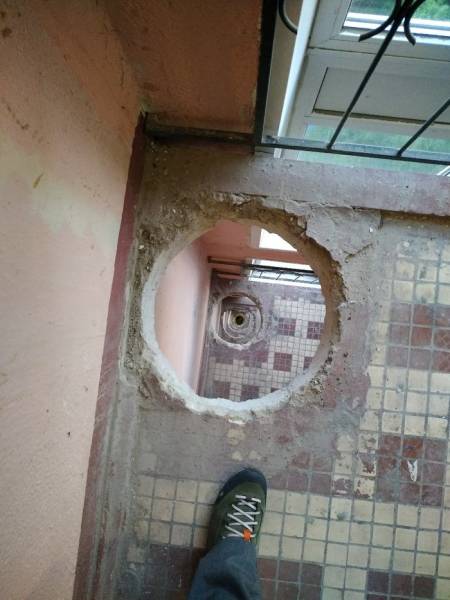 Morning Picdump