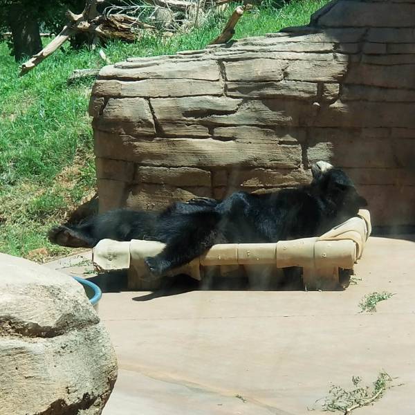 Morning Picdump