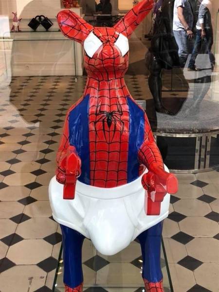 Content Image