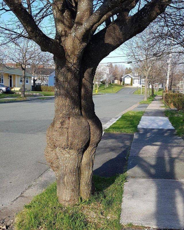 Dirty Mind, Come Here!