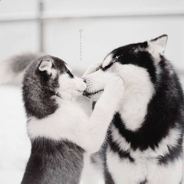 Daily Picdump