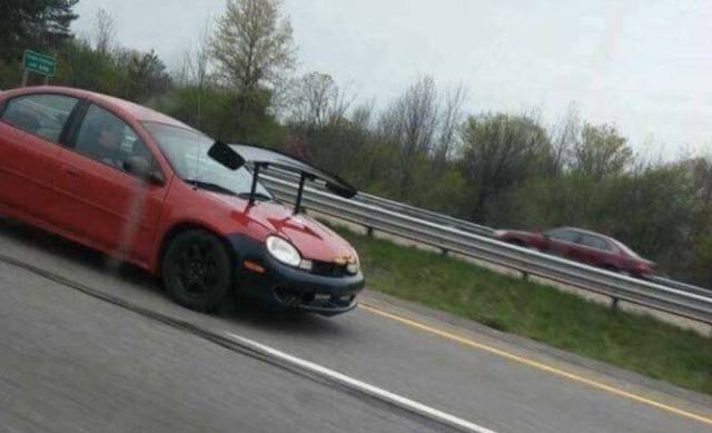 Content Image