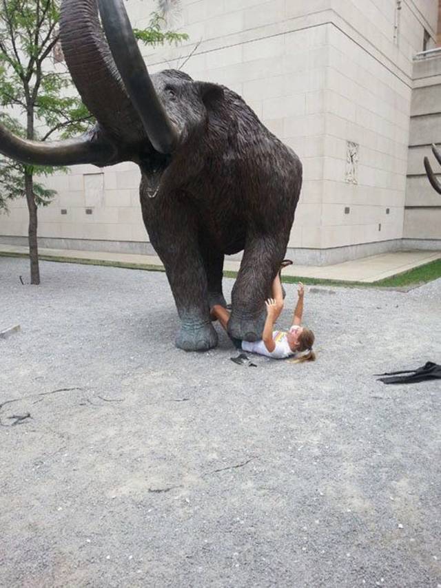 Daily Picdump