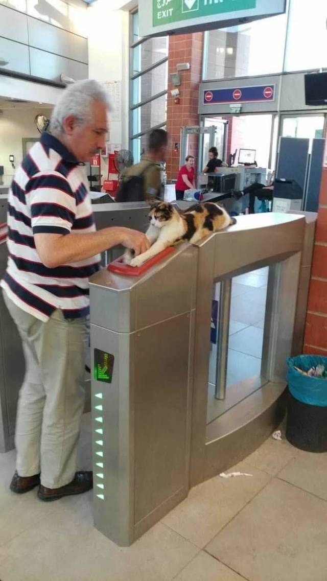 Content Image