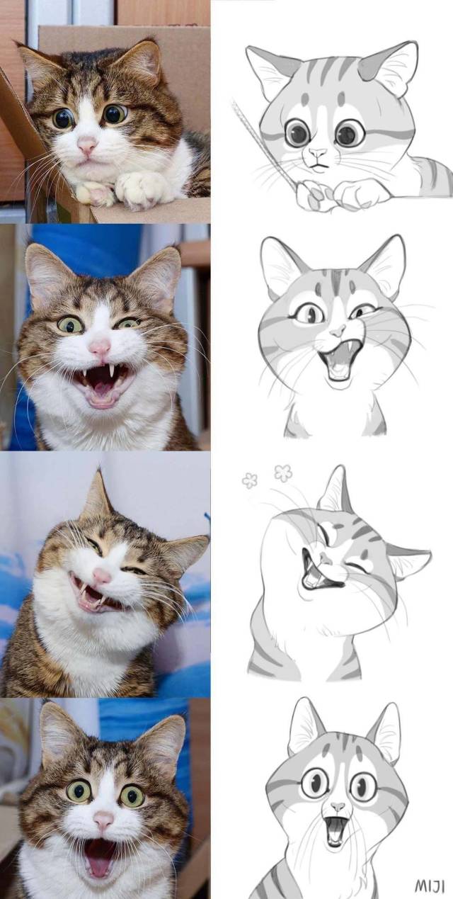 Content Image