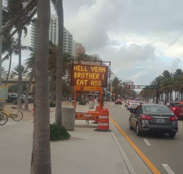 Morning Picdump