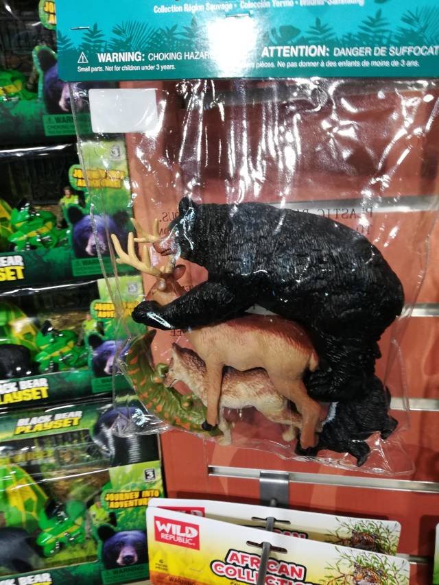 Morning Picdump