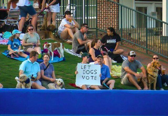 Daily Picdump