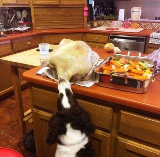 Content Image
