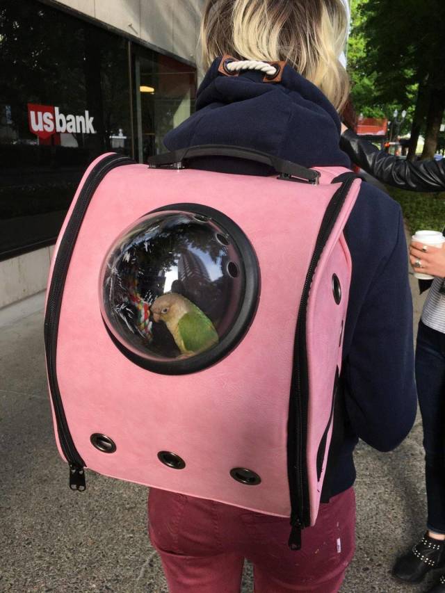 Daily Picdump