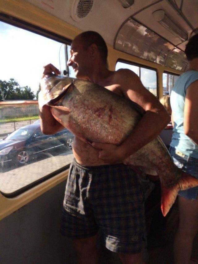 Daily Picdump