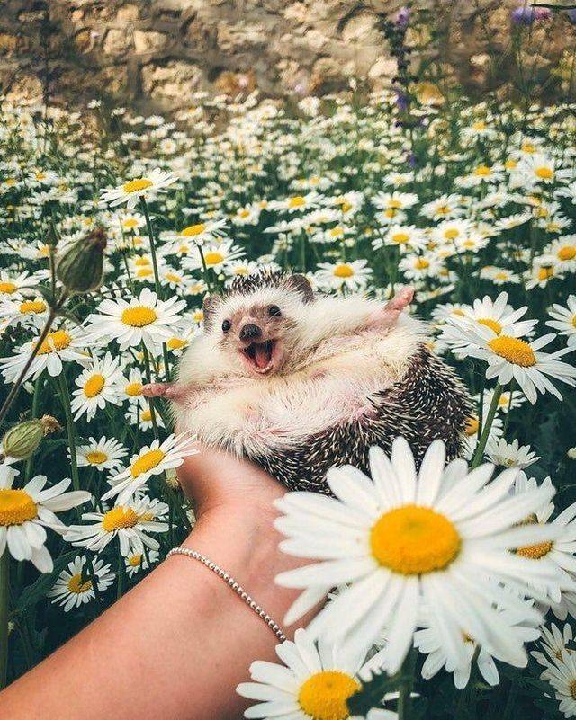 Daily Picdump