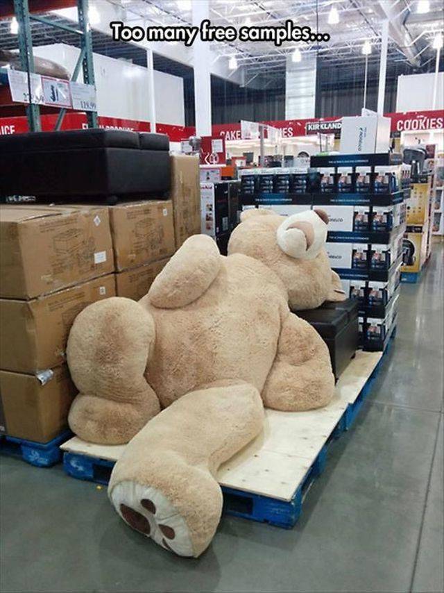 Daily Picdump