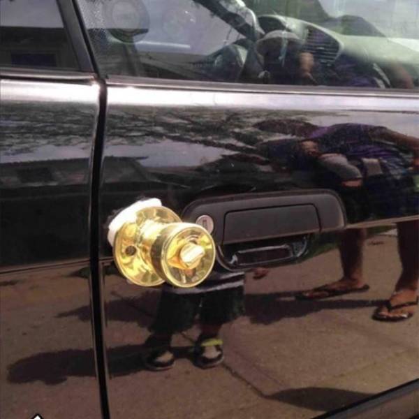 Morning Picdump