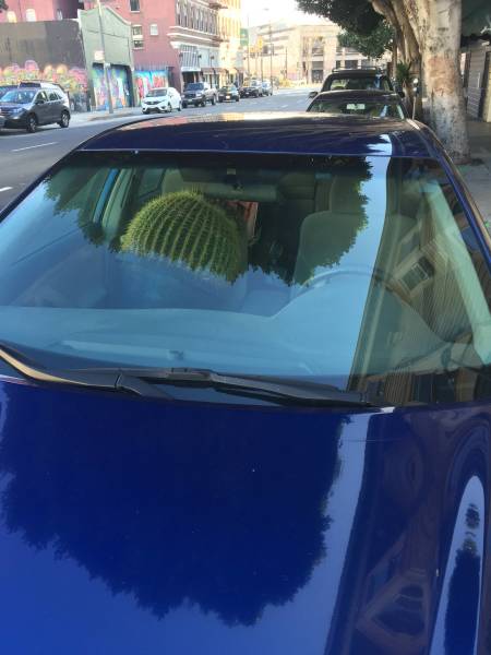 Morning Picdump