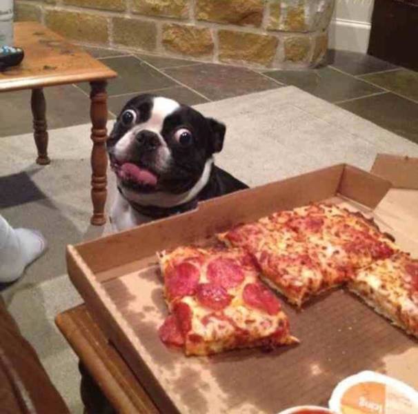 Morning Picdump