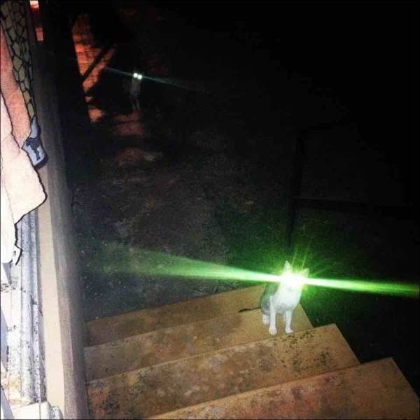 Content Image