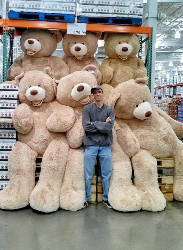 Daily Picdump