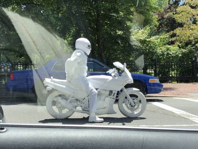 Daily Picdump