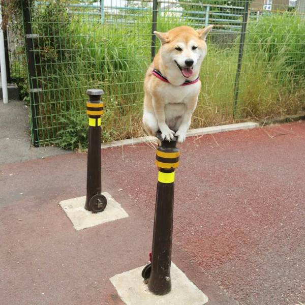 Daily Picdump
