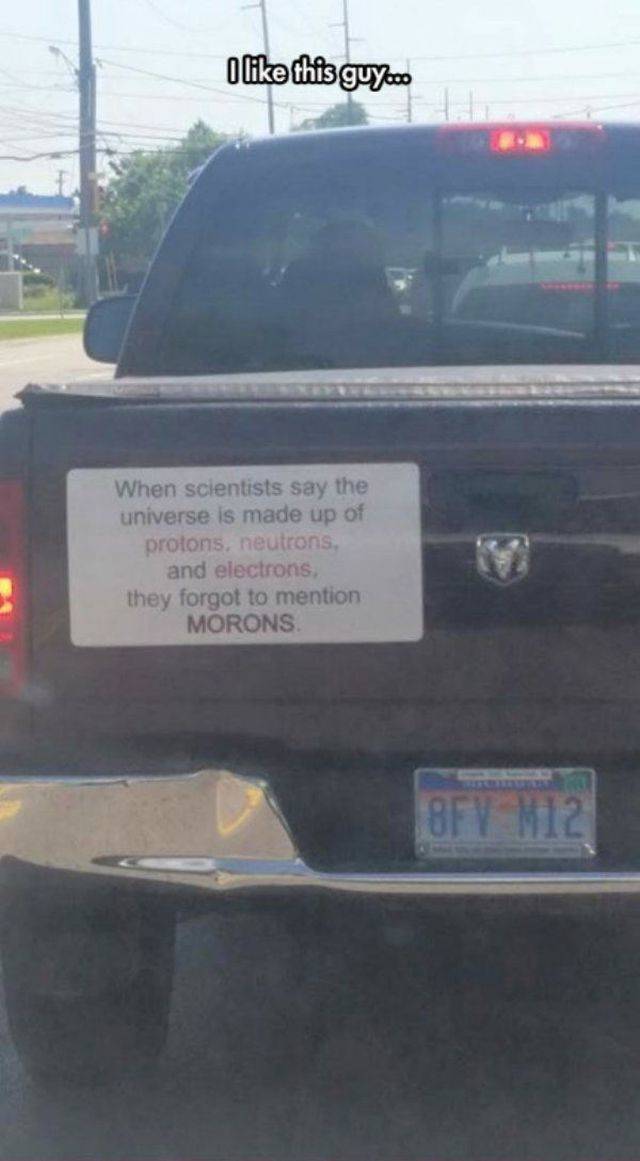 Daily Picdump