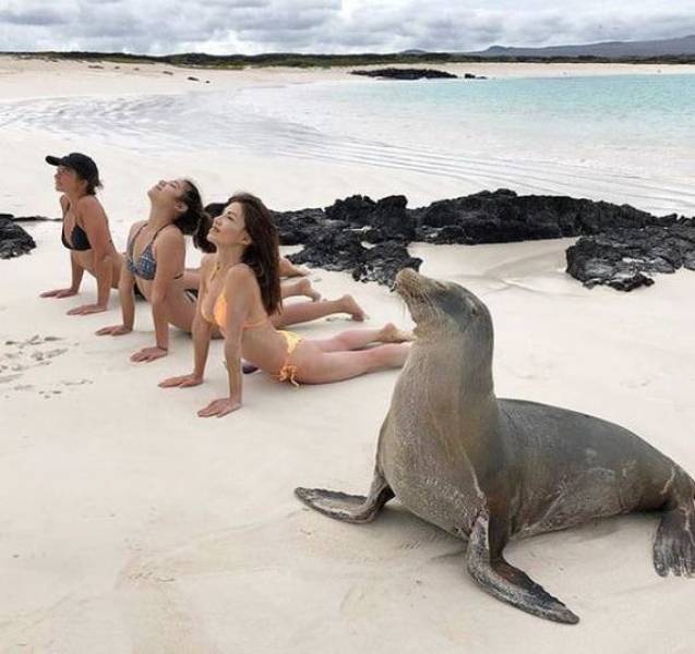 Morning Picdump