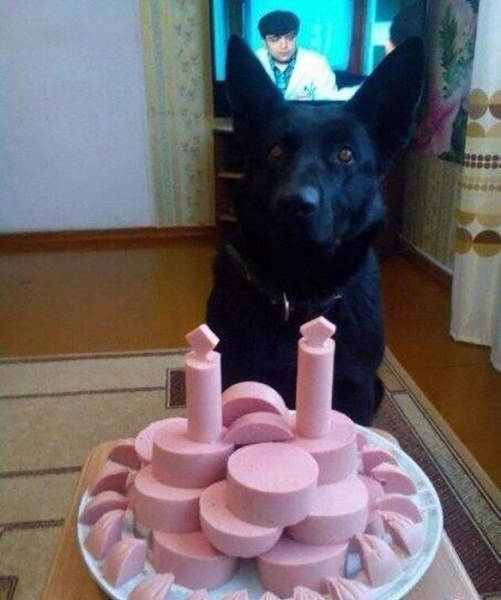 Content Image