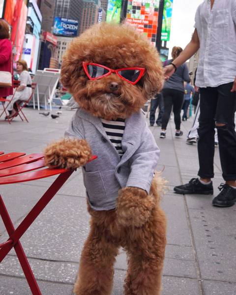 Daily Picdump