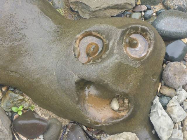 Content Image