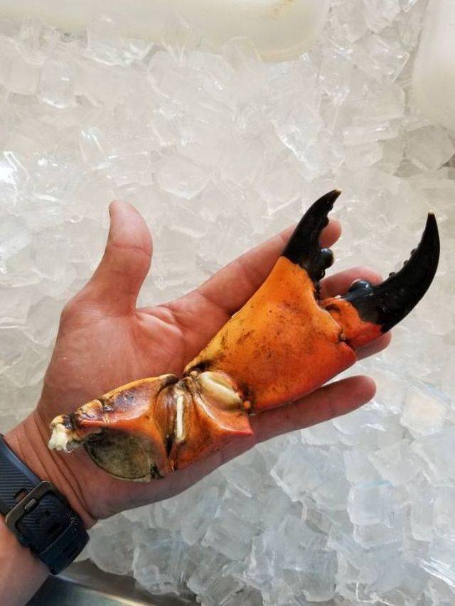Content Image