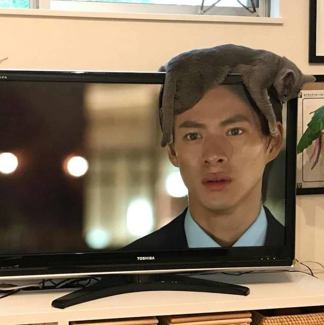 Content Image