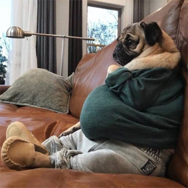 Daily Picdump