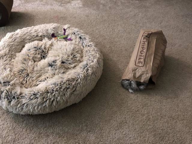 Daily Picdump