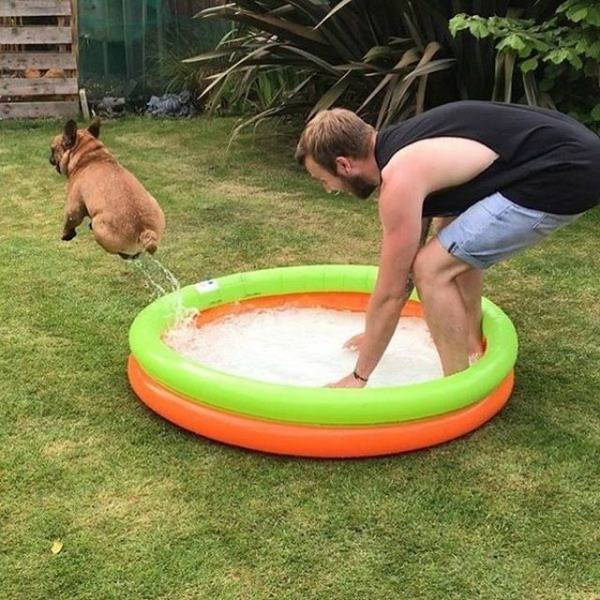 Daily Picdump
