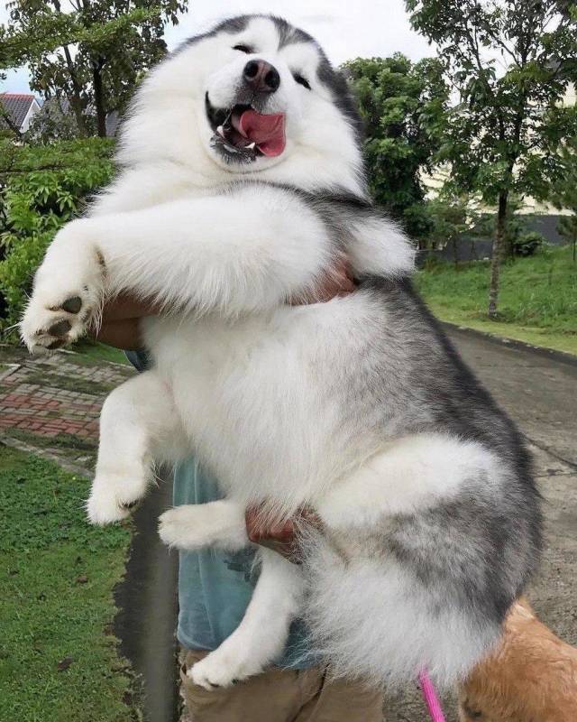 Content Image