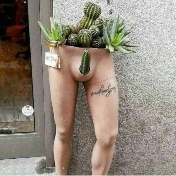 Dirty Mind, Come Here!