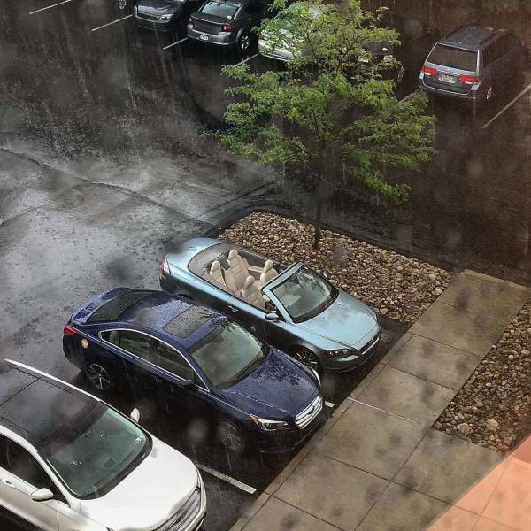 Morning Picdump