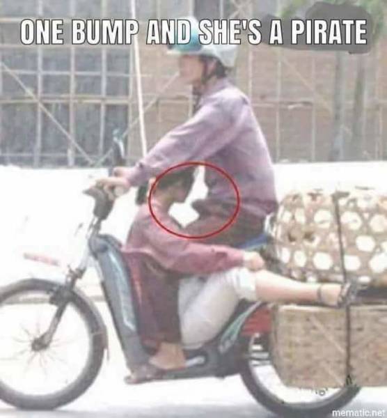 Morning Picdump