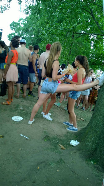 Morning Picdump