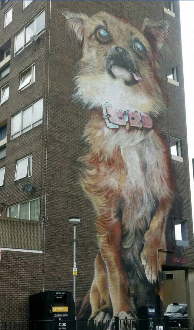 Morning Picdump