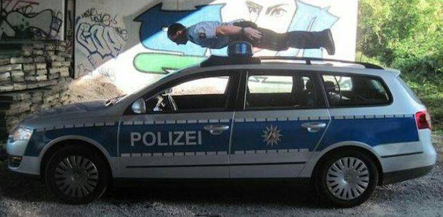 Daily Picdump