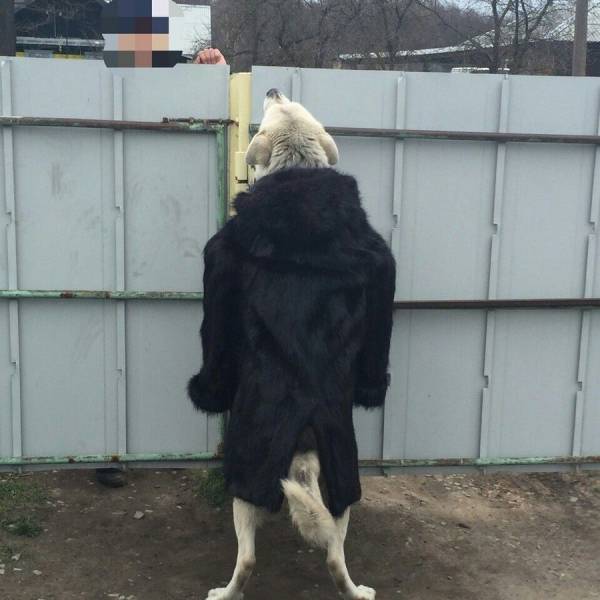 Daily Picdump