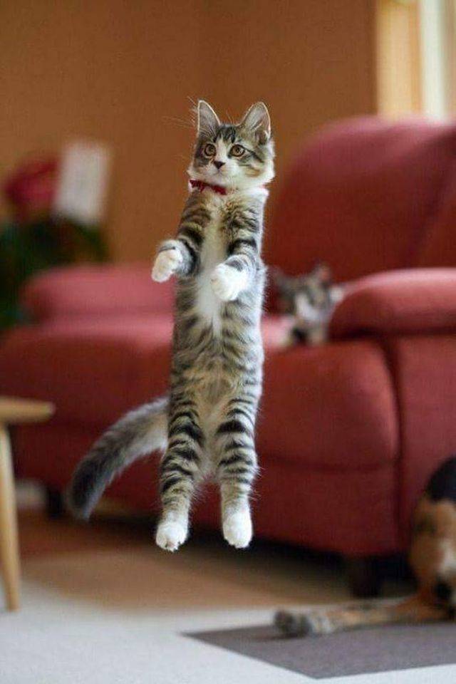 Daily Picdump
